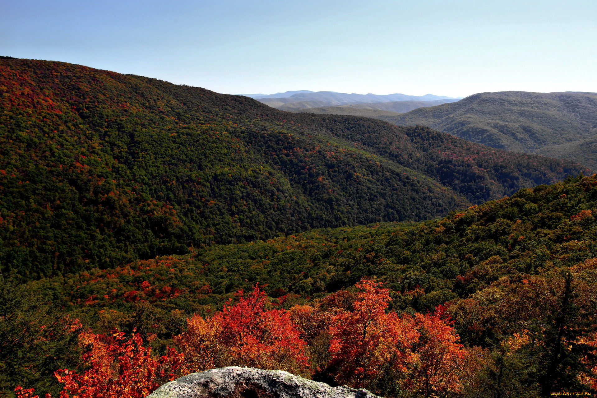 В лесах в горах содержание. Горы Западной Вирджинии. Западная Вирджиния лес. Западная Вирджиния лес и горы. Западная Вирджиния картина леса гор.